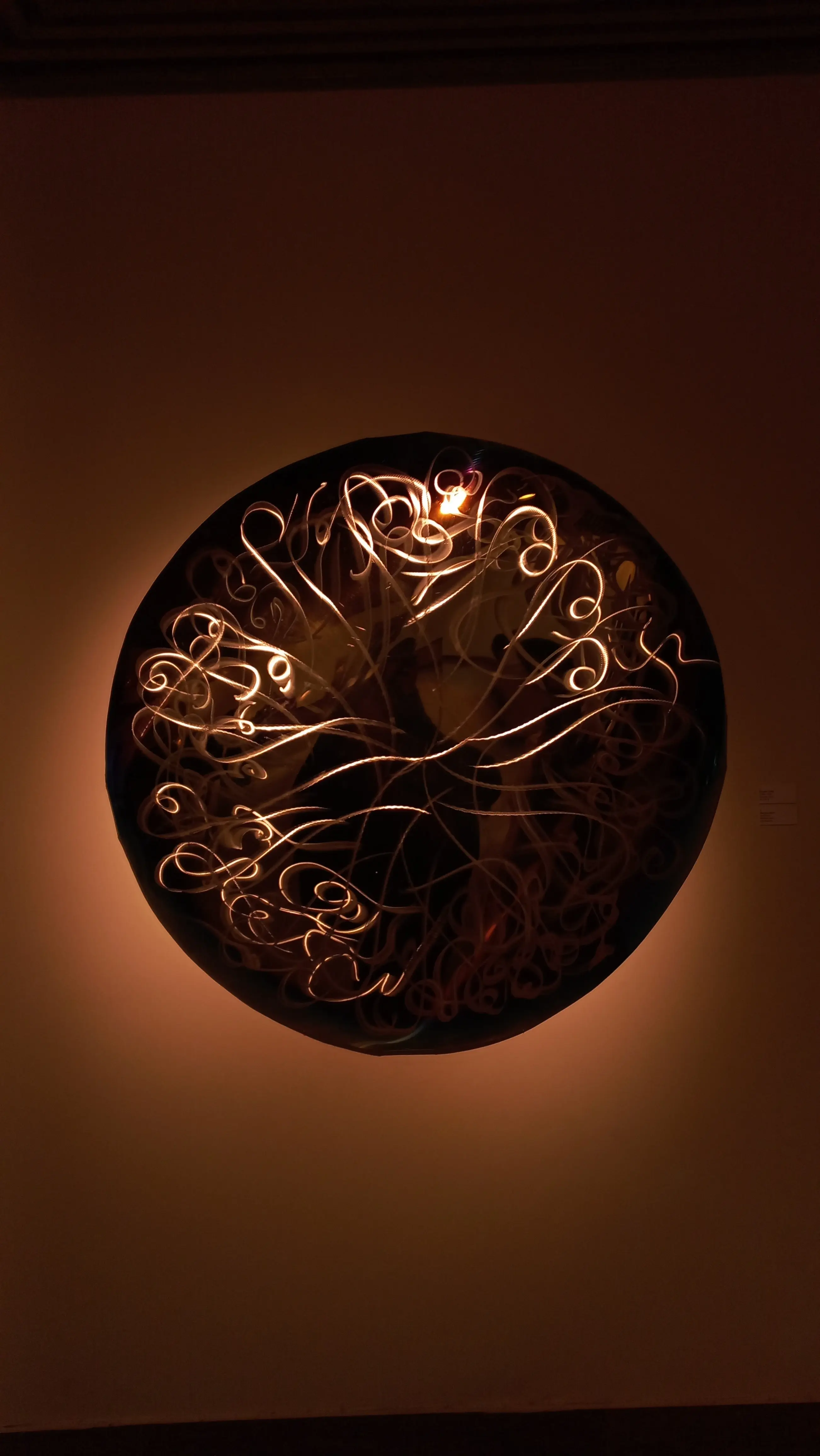 A Mirror's Tale, installation view