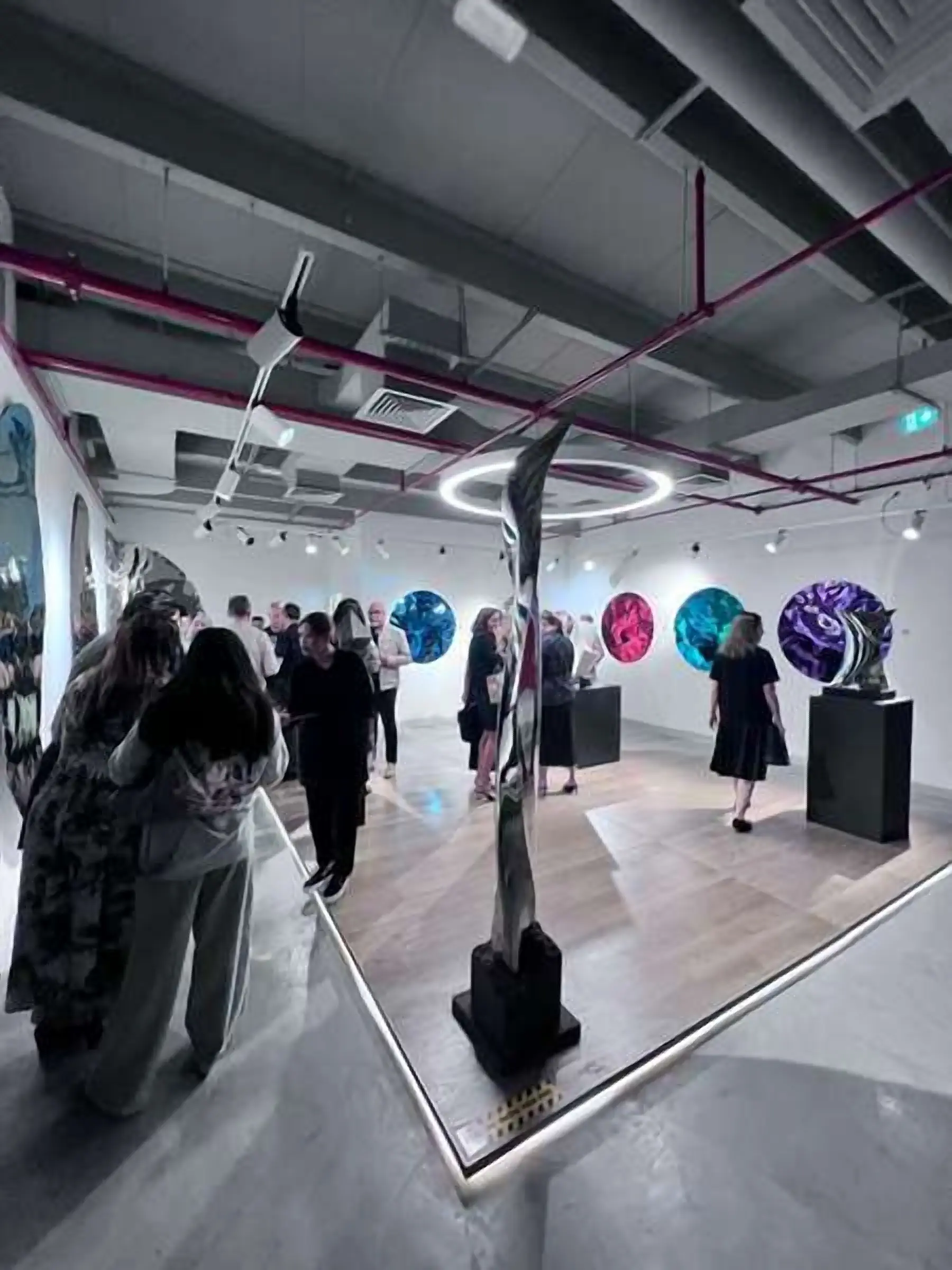 Refracted Life, installation view