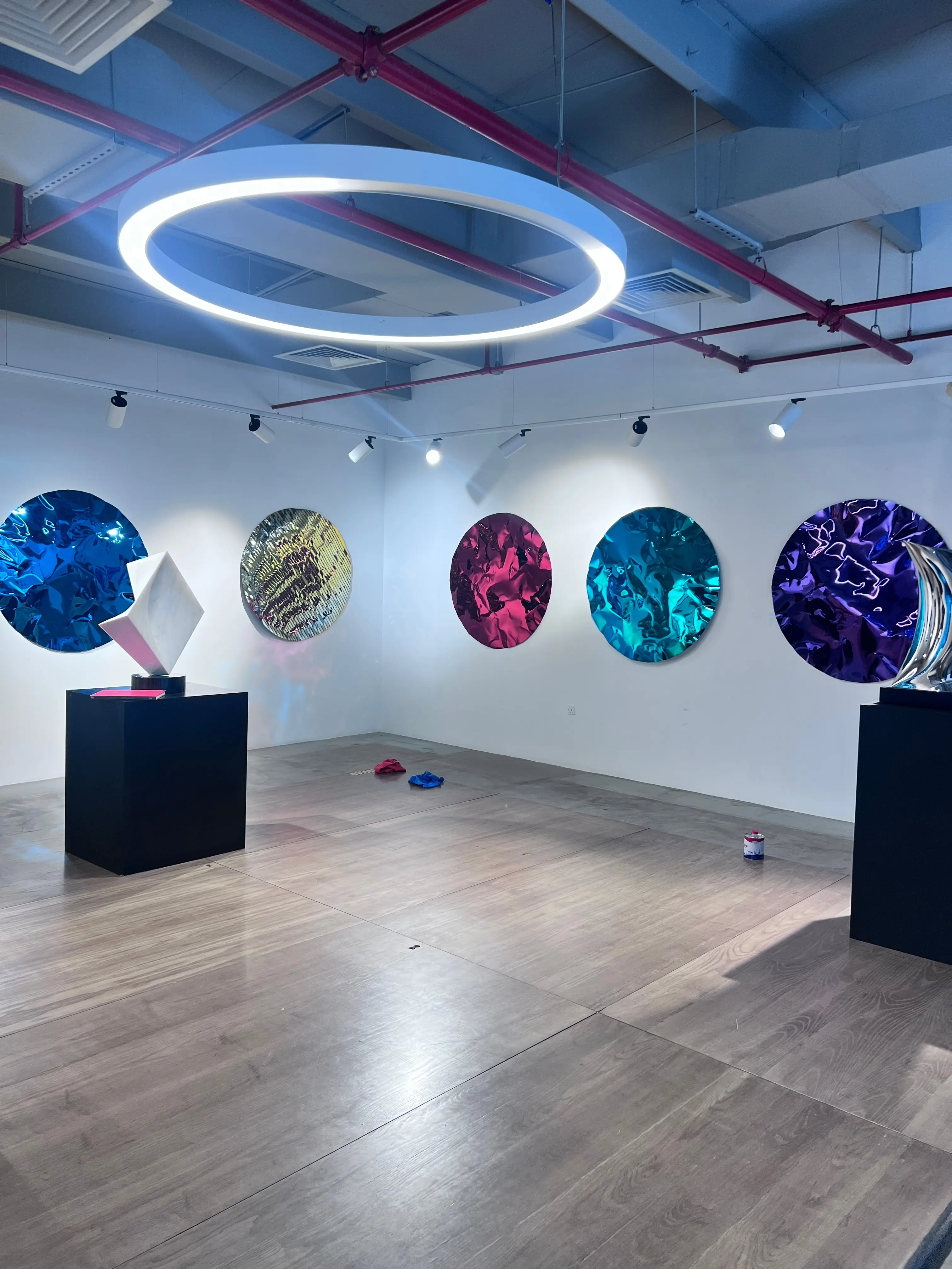 Refracted Life, installation view